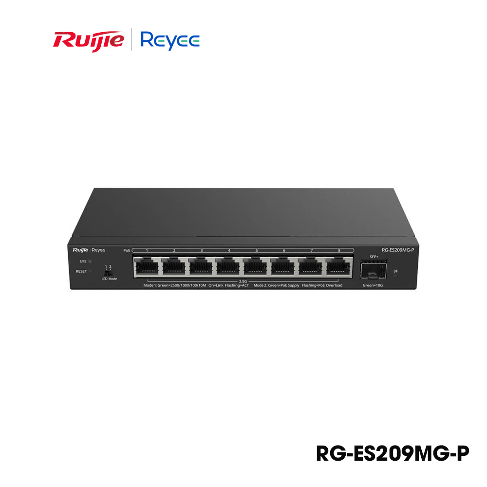 RG-ES209MG-P-1.jpg
