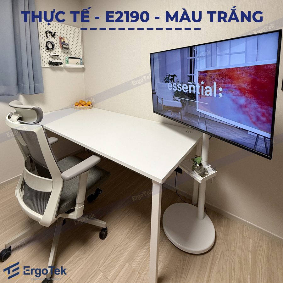 Giá treo màn hình máy tính di động ErgoTek E2190 17″-35″ inch xoay 360 độ